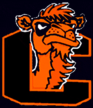 Campbell Fighting Camels 1996-2004 Alternate Logo iron on transfers for T-shirts